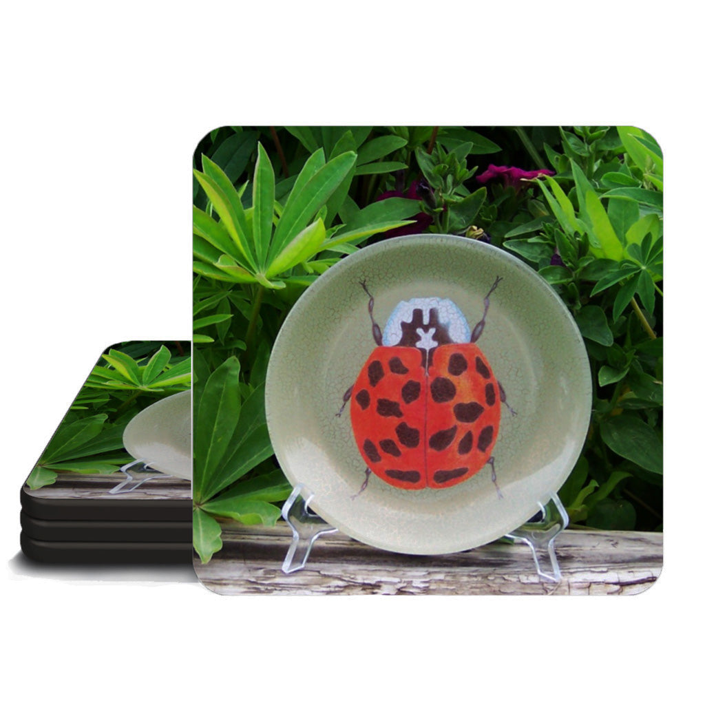 Ladybug Coaster Set