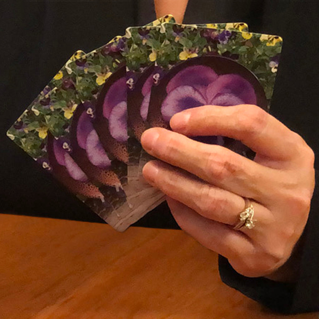 Purple Pansy Deck Of Playing Cards