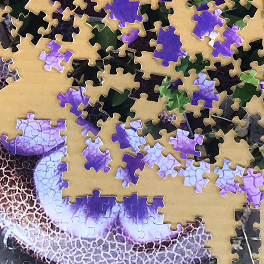 Purple Pansy Puzzle - 1014 Pcs