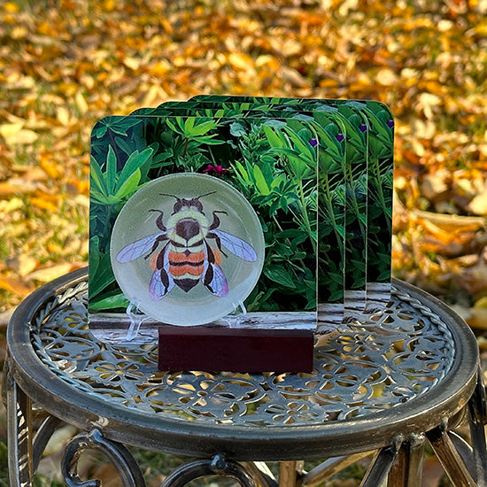 Bee Coaster Set