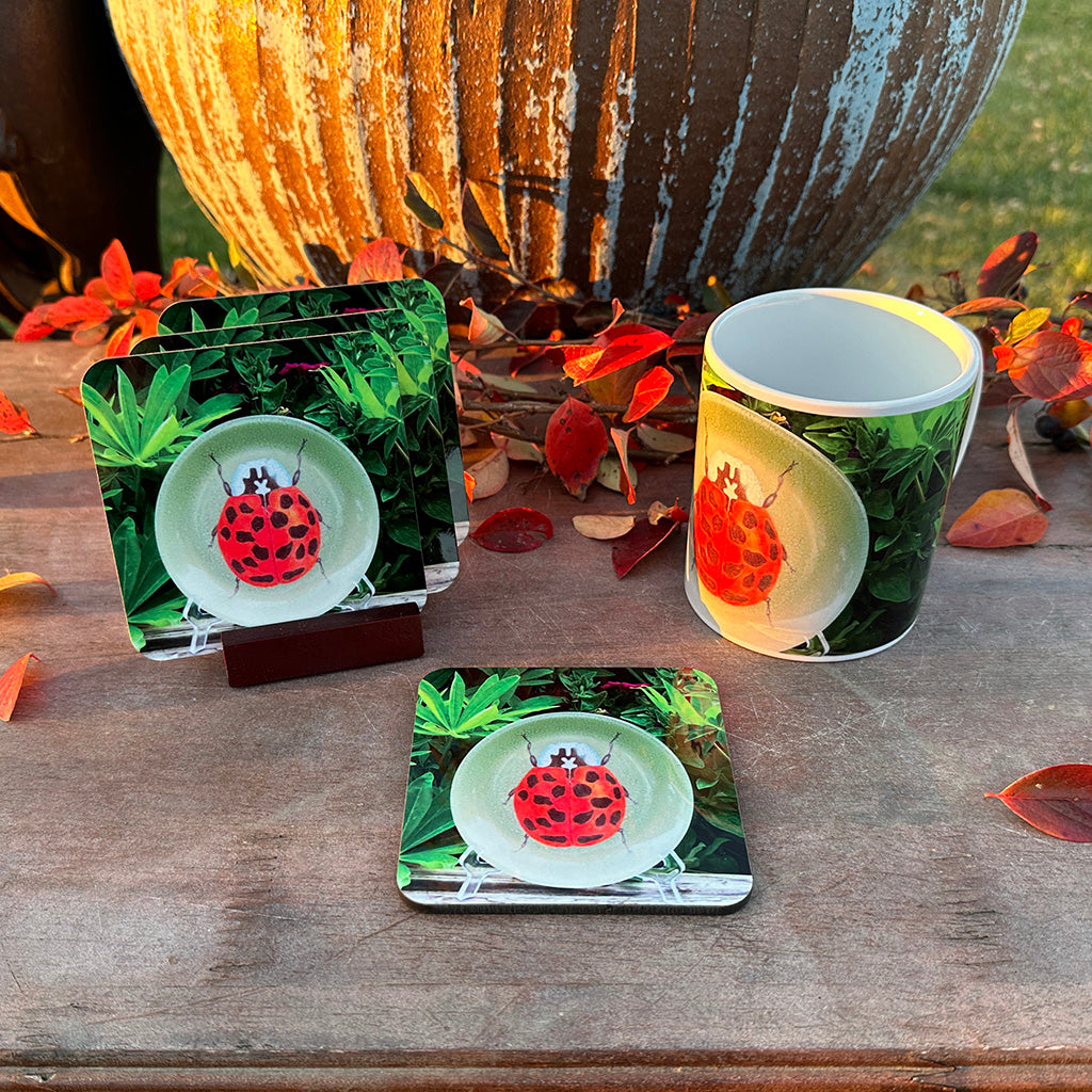 Ladybug Coaster Set