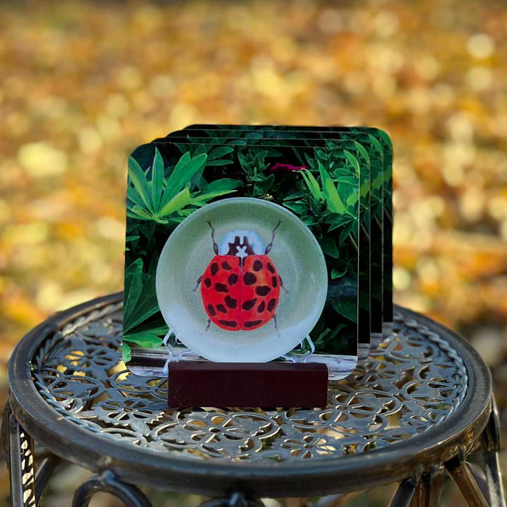 Ladybug Coaster Set