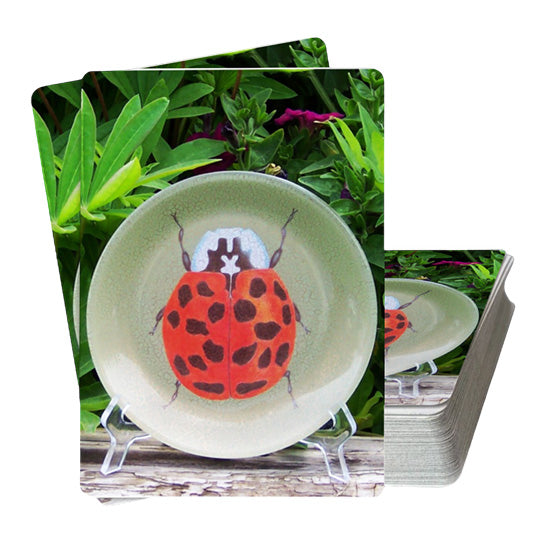 Ladybug Deck of Playing Cards